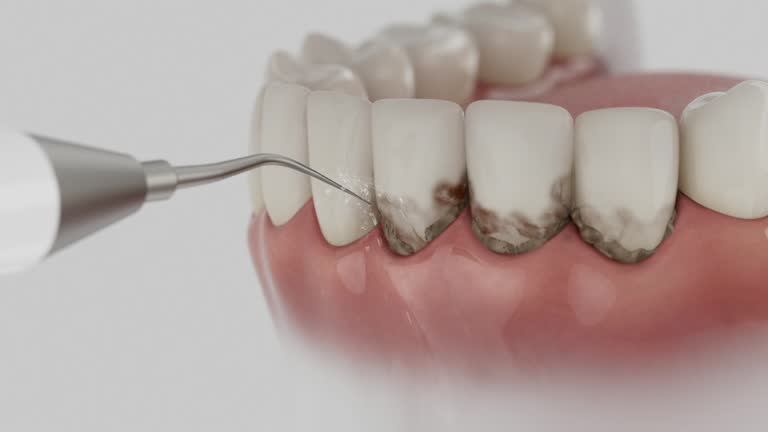 Reliable Dental contractor in Oak Park Heights, MN by Dentist Open Now